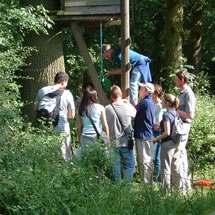 un grand bol d'air en �quipe et en for�t