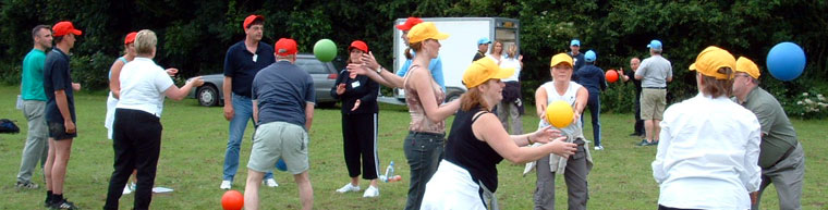 Le Labyrinthe, une �quipe en plein exercice de coordination !